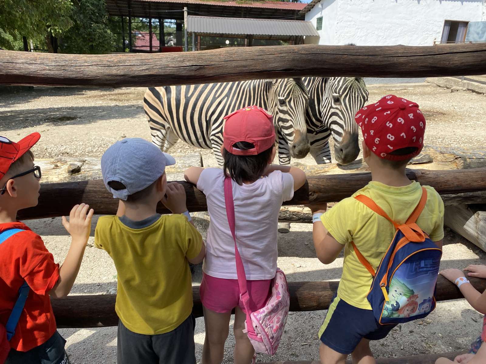 Secția Asistență Psihopedagogică